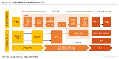 新股前瞻 | 沖擊港交所“鮮果品牌第一股”，洪九果品駛入增長快車道